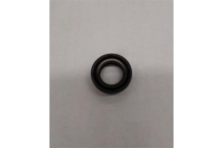 Anillo de retención
