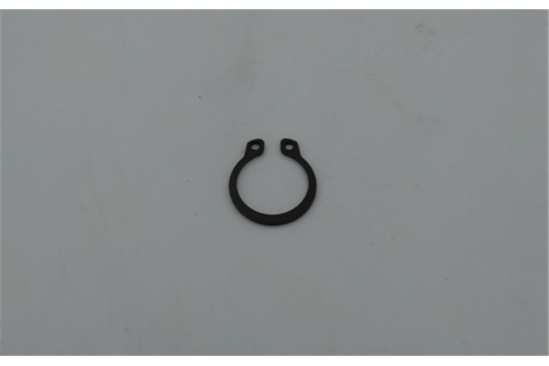 Anillo Seeger