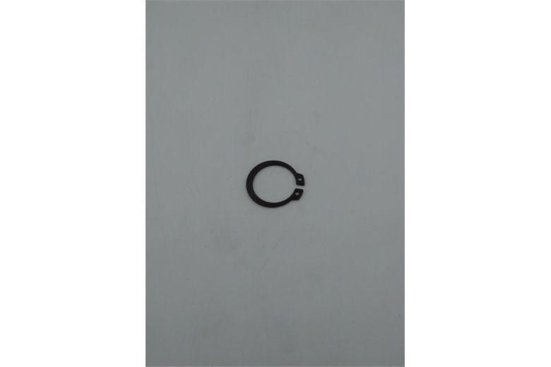 Anillo Seeger