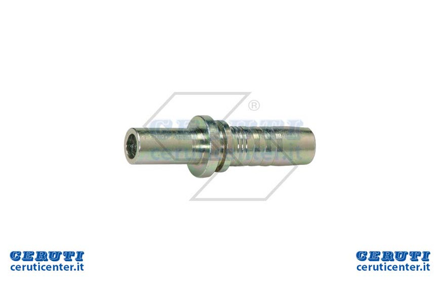 Insertar Pr S / Es El / Usted / Dr 1/4 D.6