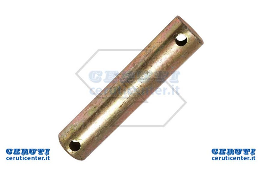Perno Sup.Tirante D.20X81