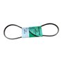 Correa Glp Premium D L3369Rl - Original Ibea - P3010056