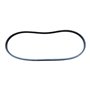 Strap Z31 1/2 10X800Li - Genuine Ibea - P3010071