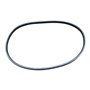 Riementyp Zx31 / X10X790Li - Original Ibea / Active - P3010082