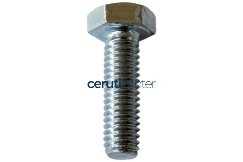 Vite Te M6X20 - Originale BCS - 31112093