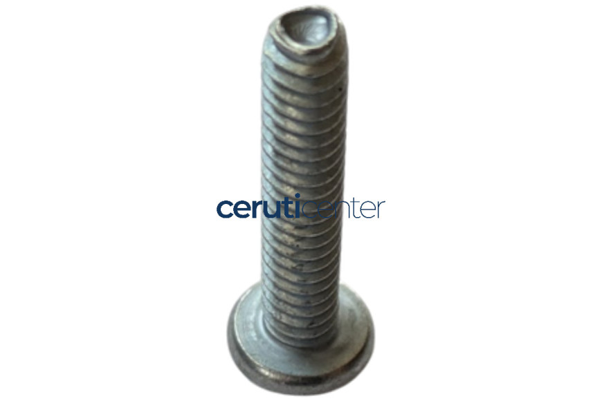 Tornillo 10-24 UNC 25,4 mm - 583608901 - reemplaza a - 818031016 - Original Husqvarna