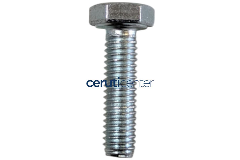 Tornillo Te M6X22 Uni 5739 8G - BCS Original - 31112087 - reemplaza - F0862190000, P000000002824, P000000003097