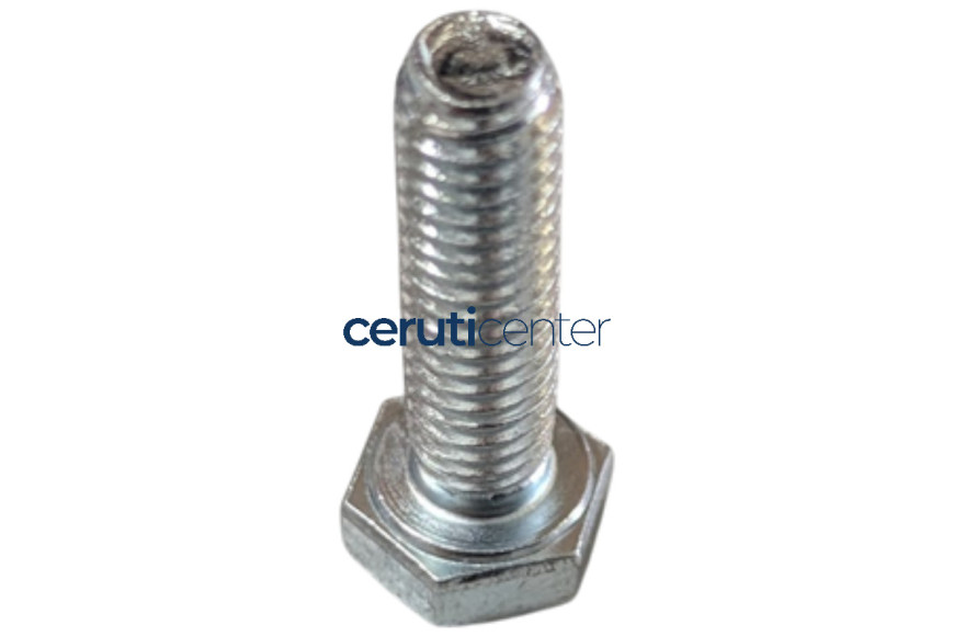 Vite Te M6X22 Uni 5739 8G - Originale BCS - 31112087 - sostituisce - F0862190000, P000000002824, P000000003097