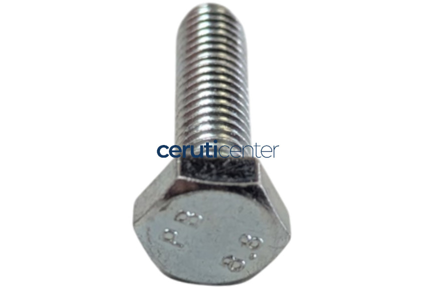 Tornillo Te M6X22 Uni 5739 8G - BCS Original - 31112087 - reemplaza - F0862190000, P000000002824, P000000003097