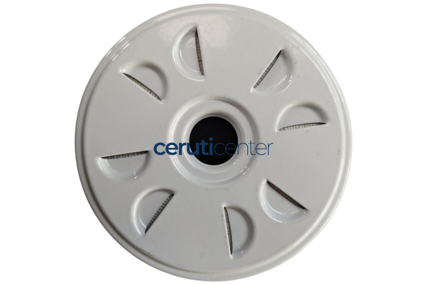Fuel Filter Cartridge - BCS genuine - 58171200