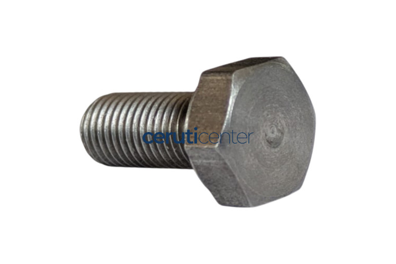 Tornillo M6×14 - BCS original - 31100101
