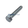 Vite A Testa Esagonale M8×45 - Originale BCS - 31112155 - sostituisce - P000000002931