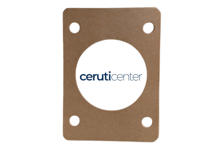 Gasket - BCS genuine -  P901335000001