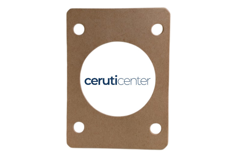Gasket - BCS genuine -  P901335000001