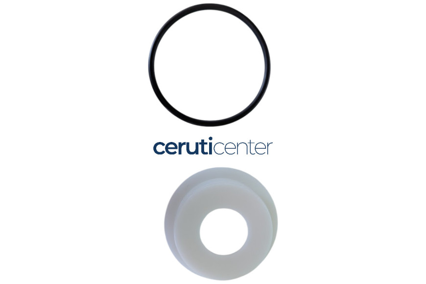 Pivot Bushing Kit W/Hole - BCS Original - 59968886 - reemplaza - 55232014, 55236299