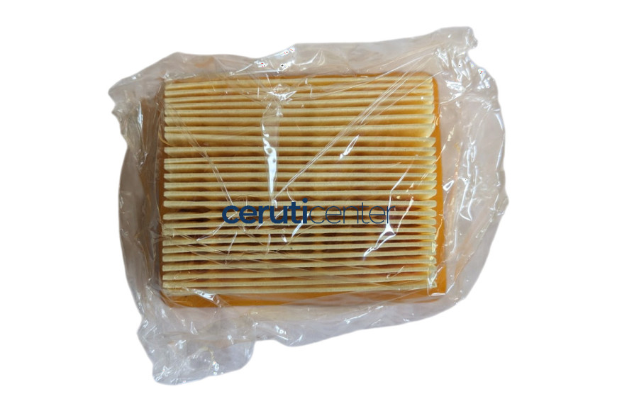 In Air Filter Paper - Original Ibea - P022497