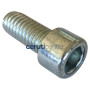 Supp.Sheet-Rear - Originale Toro - 703845