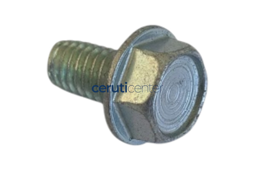 Vite Autofilet. 5/16-18 X 5/8 - Originale Snapper - 703949
