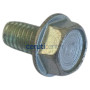 Vite Autofilet. 5/16-18 X 5/8 - Originale Snapper - 703949