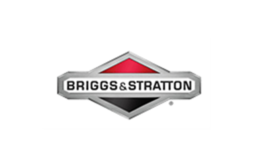 Elektrischer Kabelbaum - Original Briggs & Stratton - 84013450 - Ersetzt 844547