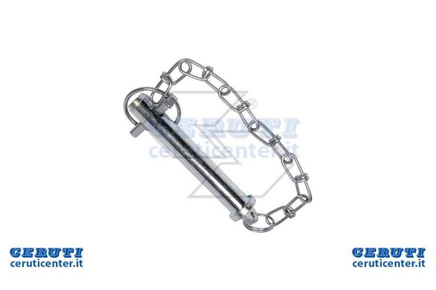Pin Avec D.19X100 Chain