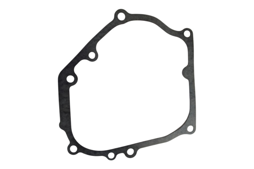 Guarnizione di Tenuta - Originale Emak - L66151175