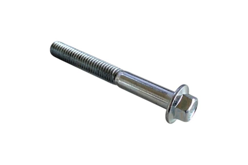 Bullone Gruppo Trasmissione - Originale EMAK - L66150890