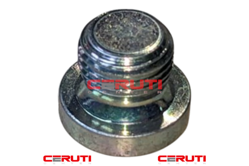 Tappo Filettato M10×1 DIN 908 - Originale Ibea - P1010249