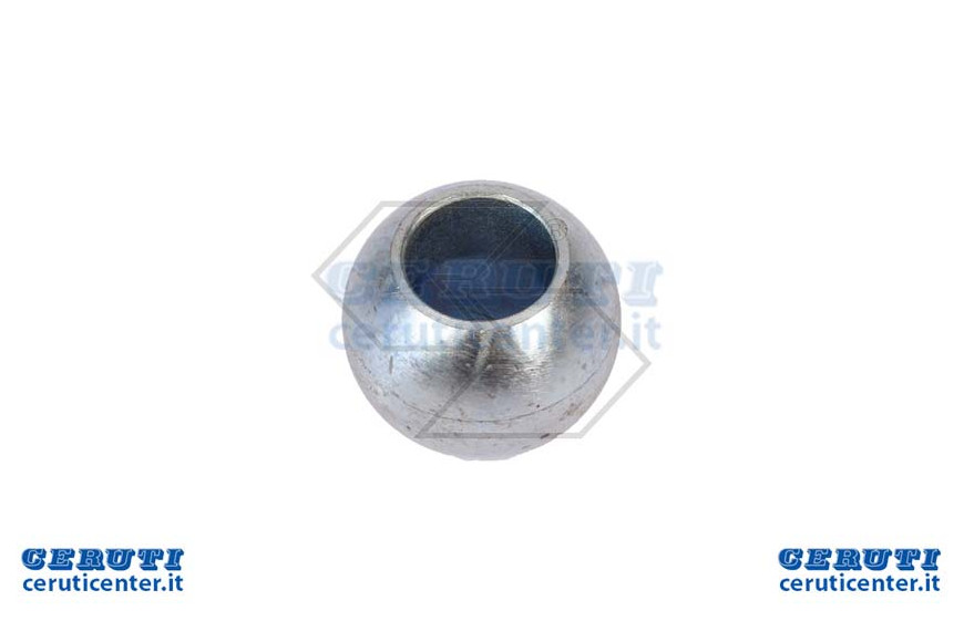 Patella Ganc.Inf.Cat.3 Loch 37 D.64