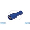 Capic.Preis.Faston F.S.0,25/1