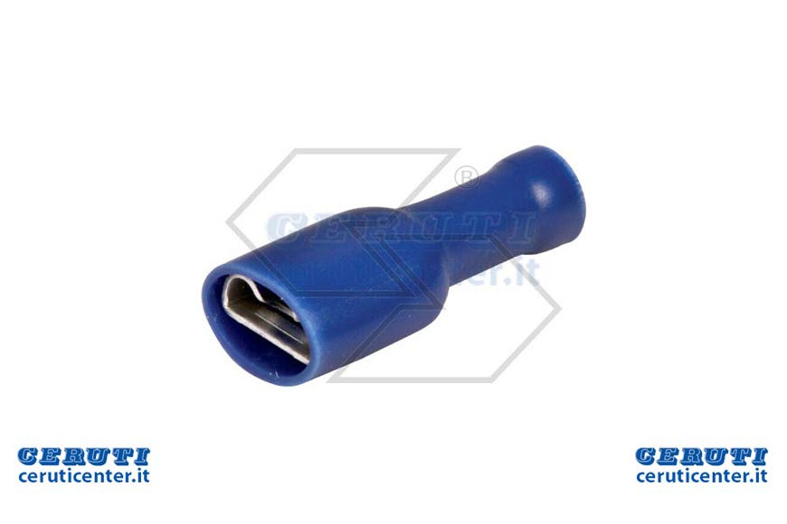 Capic.Preis.Faston F.S.1/2,5
