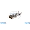 Capic.Fast.Fem.Antisf.S.1 / 2.5