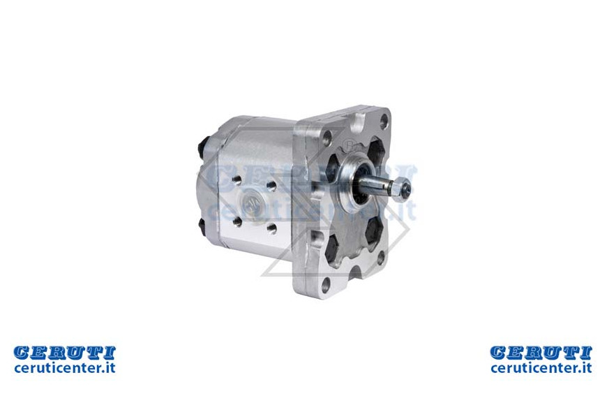 Pompe Gears Gr.1 P01 32 Rot Dx