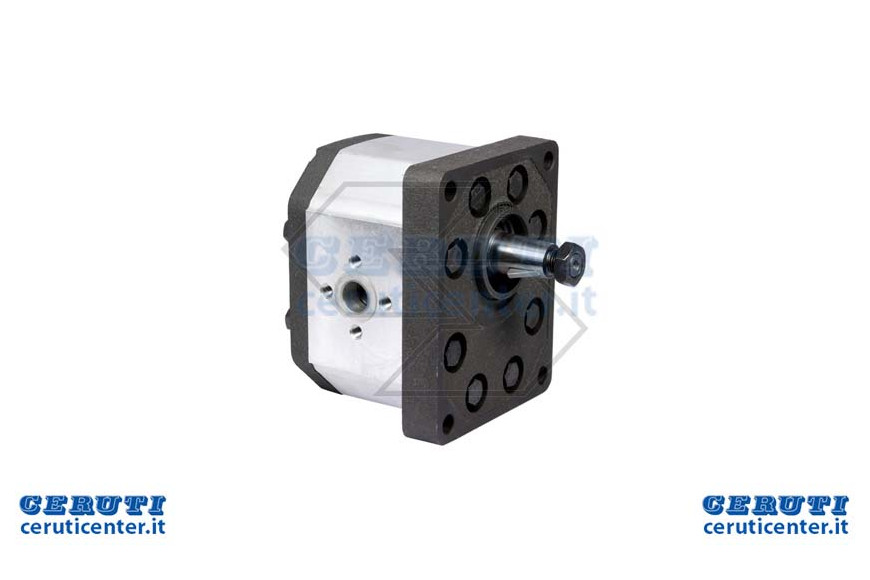 Pompe Gears Gr.3 P03 32 Rot.Sx