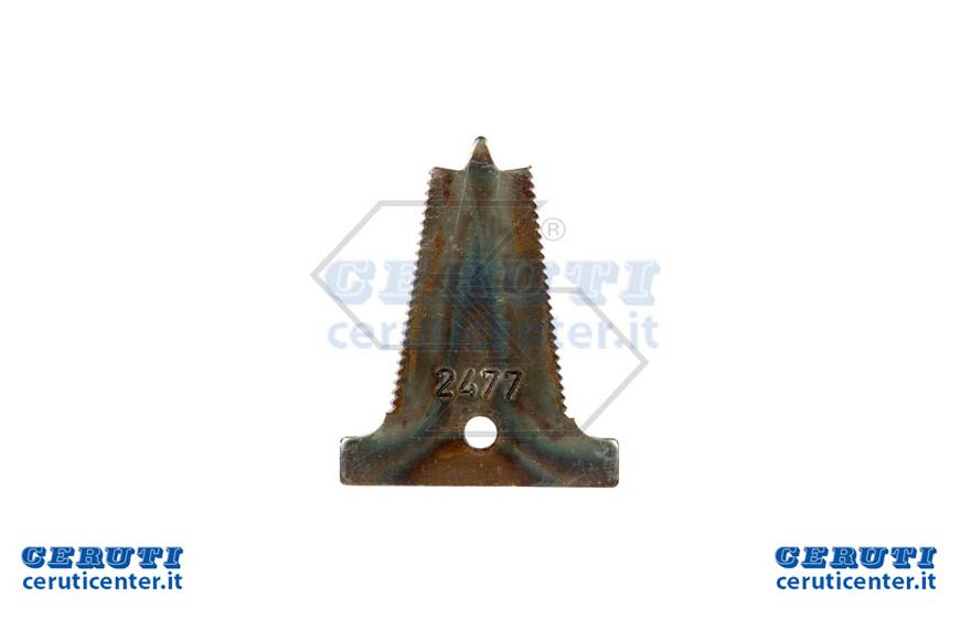 Plate 246Sf 2477