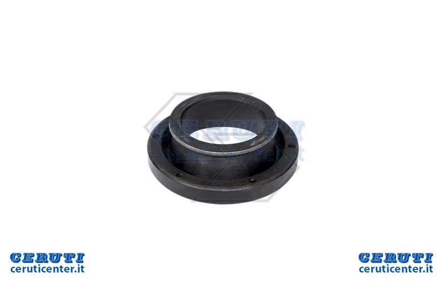 2908 Cap Seal