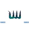 Prima Sezione Dente Completo