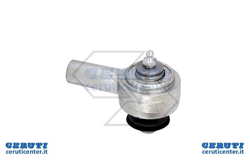 Testa Biella Compl.582989