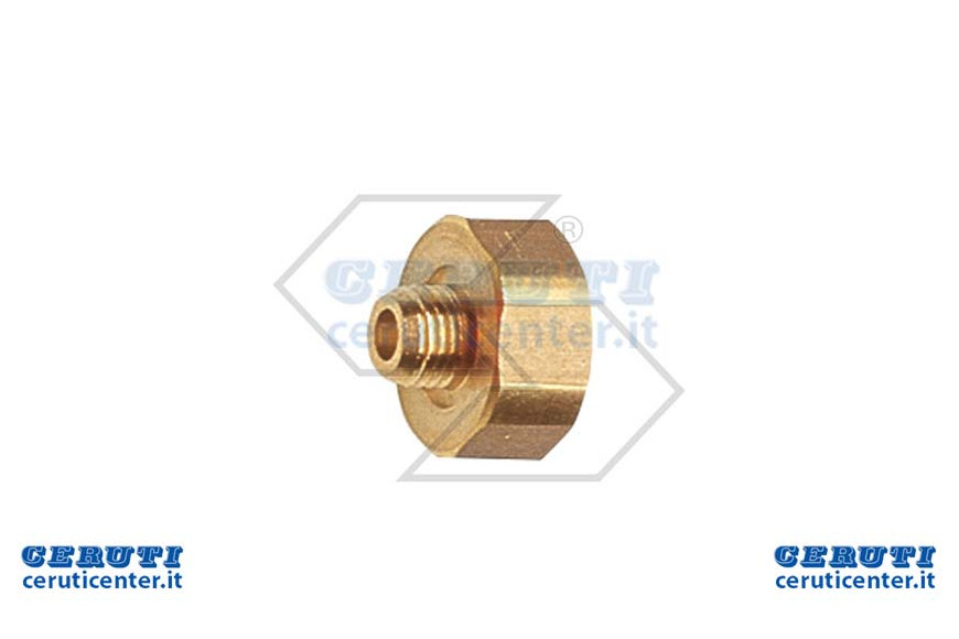 Paraspr.Compl.Lance Braglia Head