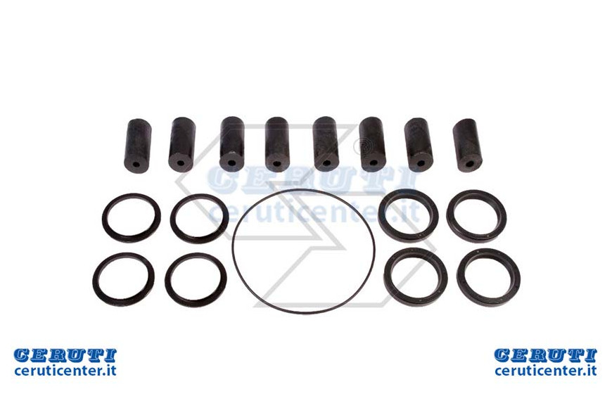Kit Revisione X Pompa Lav.Mli-25