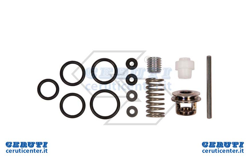 Révision Kit turbines Lancia Evolut