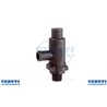 Gruppo Valvola Sicurezza Aps 51