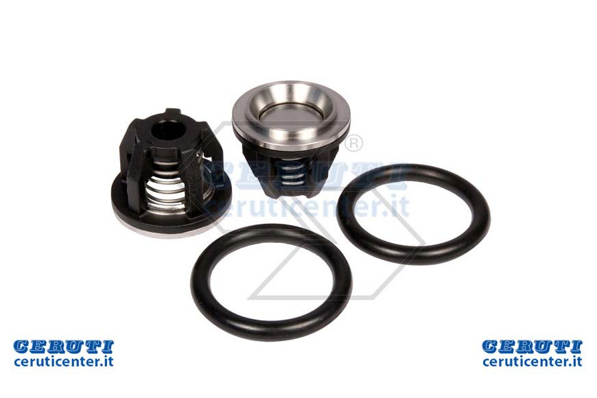 Valve Intake Pump Bp281