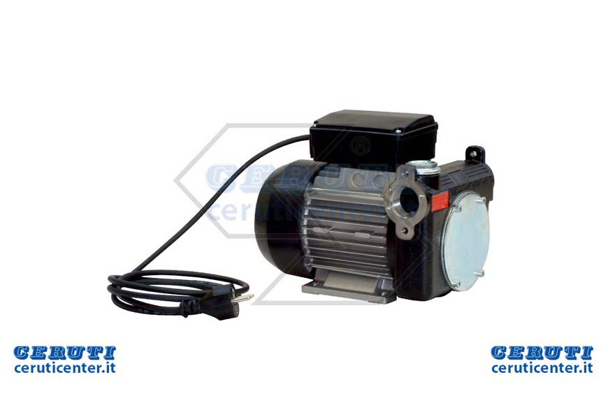 Pompe électrique 220 V travaso Pa2-80