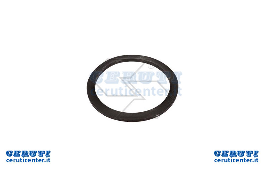 Guarnizione Piatta D.190X165 Westf.