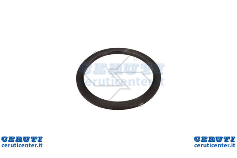 Guarnizione Piatta D.190X165 Westf.