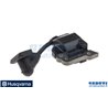Modulo Accensione (Mcculloch) - Originale Husqvarna - 531008714
