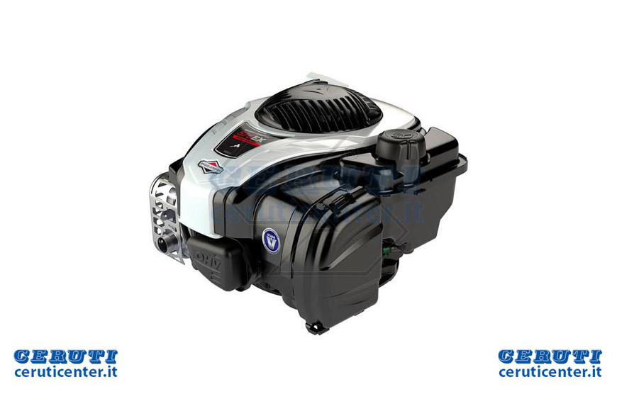 Motore Serie 575 Ohv 22X60 Freno+Au