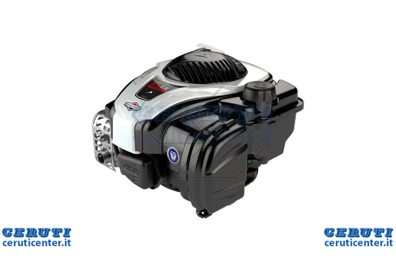 Motore Serie 575 Ohv 22X60 Freno+Au