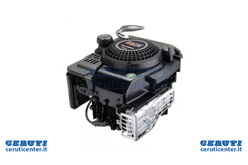 Motore Serie 650 Ohv Re/Start 22X80